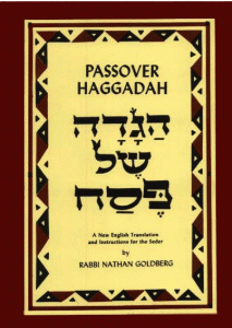 passover-haggadah-new-revised-edition-by-rabbi-nathan-goldberg-large-4